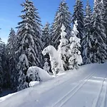 Haus Dagmar Апартаменты Зильберталь