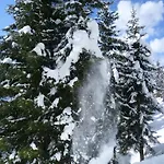 Haus Dagmar Апартаменты