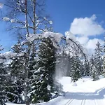 Haus Dagmar * Зильберталь