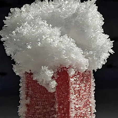 Апартаменты Haus Dagmar