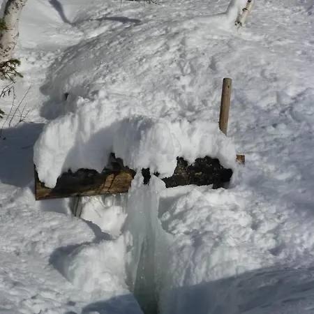 Haus Dagmar Апартаменты *