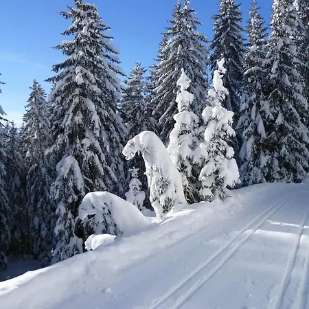 Haus Dagmar Апартаменты Зильберталь