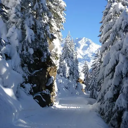 Apartment Haus Dagmar Silbertal