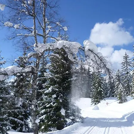 Haus Dagmar * Зильберталь