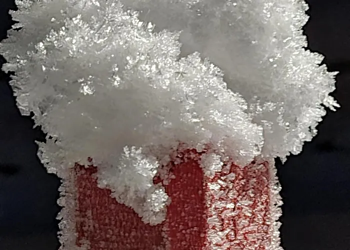 Apartment Haus Dagmar