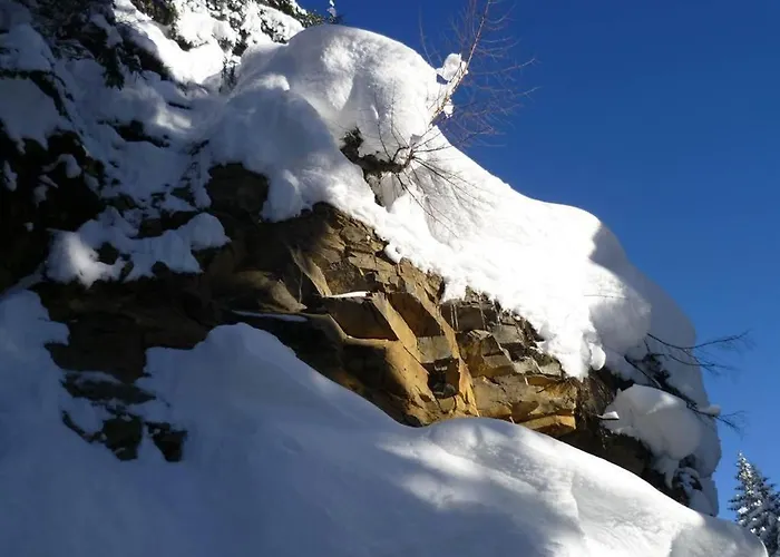 Haus Dagmar Apartment *