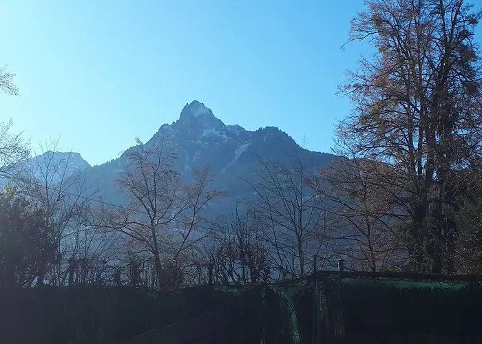 Apartment Haus Dagmar